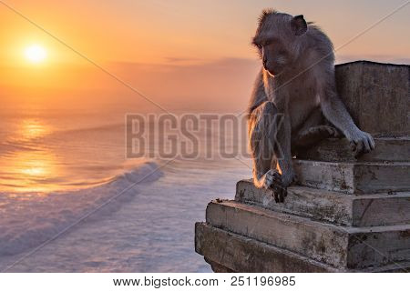 Sunset At Uluwatu Temple In Southern Bali. Monkey Look To Indian Ocean