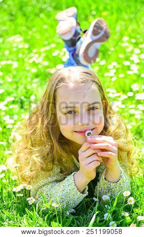 Sensitivity Concept. Girl On Smiling Face Holds Daisy Flower, Sniffs Aroma. Girl Lying On Grass, Gra