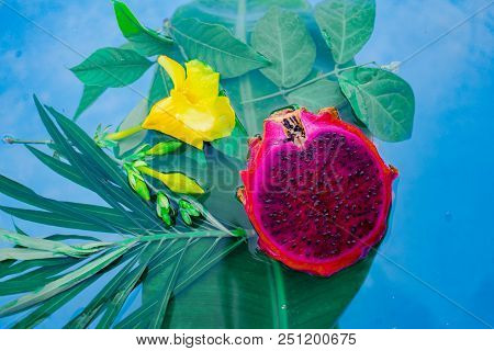 Exotic Dragon Fruit Dropped Into Water Isolated On White.