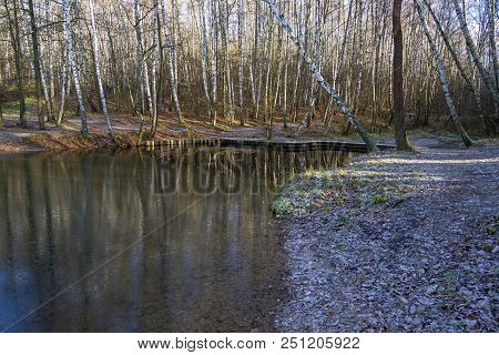 Coast Of The Pond In Late Autumn. Sunny Day. Forest Park Troparevo, Moscow, Russia.