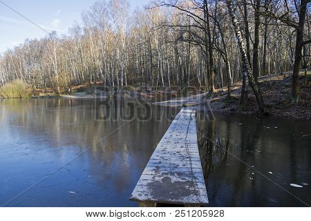 Coast Of The Pond In Late Autumn. Sunny Day. Forest Park Troparevo, Moscow, Russia.