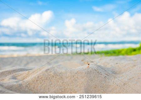 Image Of Runner On Sand Beach.