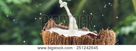 Coconut Fruit And Milk Splash Inside It On A Background Of A Palm Tree. Banner, Long Format