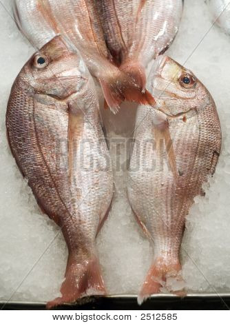 Redfishes Välimerelle paikalliselta torilta