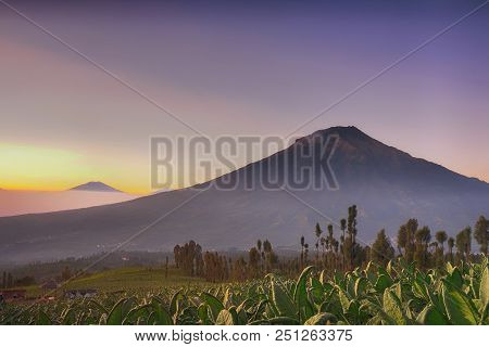 Beautiful Morning View At Posong Sumbing Mountain