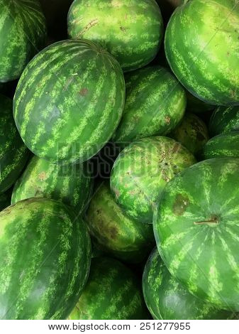 Market Counter With Delisios Watermelons. Fresh Melon In Sun's Rays. Glare On Berries.