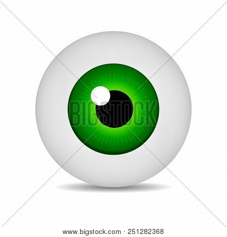 Realistic Vector Illustration Icon 3d Round Image Green Eyeball. Green Eye Isolated On White Backgro