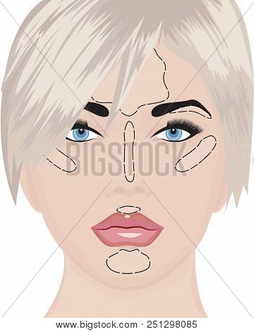 Where To Apply Highlighter Strobing Vector Illustration
