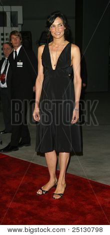 LOS ANGELES - 23 października: Famke Janssen na premierze filmu 
