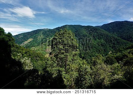 Beautiful View On The Hills Surrounding San Gerardo De Dota, Costa Rica