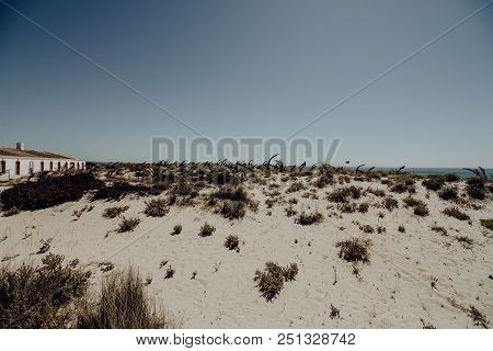 The Old Anchor Cemetery At The Barril Beach In Tavira Algarve Portugal