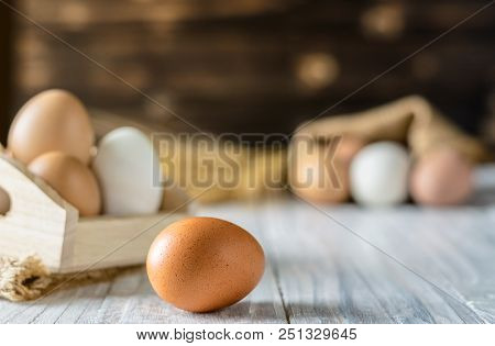 Close Up Brown Egg On Morning, Copy Space