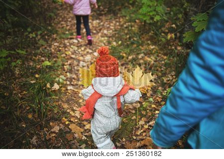 Family Walk In The Autumn Park Or Forest. The Baby Is Carrying Yellow Maple Leaves. Children Walk Al