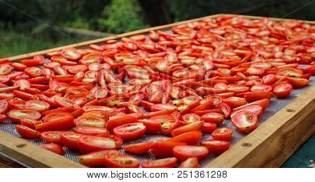 Sundried Tomatoes Drying In The Sun In The Mediterranean