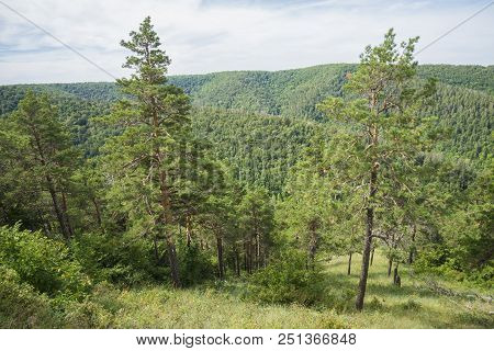 Strelnaya Mountain. Attraction Of The Samara Region. On A Sunny Summer Day