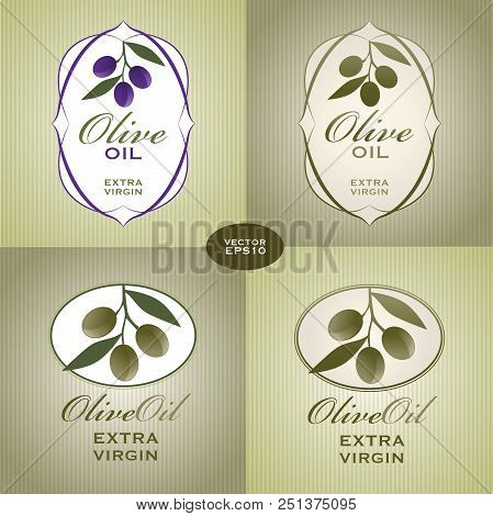 Four Stylized Olive Oil Labels. Vector Illustration.