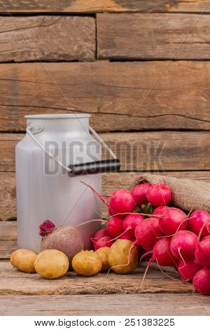 White Enamel Milk Can, Potatoes And Radishes. Still Life. Wooden Desk Background.