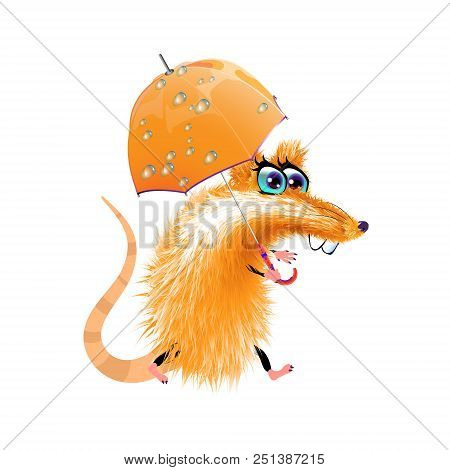 Cartoon Orange Cute Rat Isolated. Vector Illustration