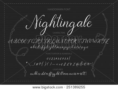 Nightingale. Handdrawn Calligraphic Vector Font. Modern Gentle Calligraphy.