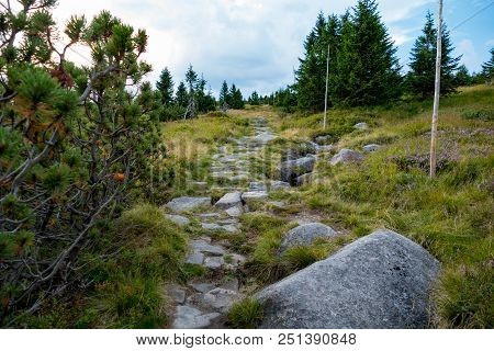Summer Landscape In Krkonose Giant Mountains In Czechia