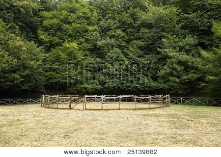 Foresta Umbra, Apulien, Italien, häst stängsel