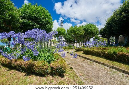 Violet Flowers At The Park Vicente Loriente In Castropol, Asturias Spain
