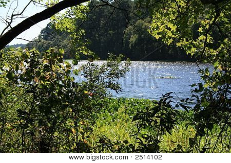 Huntsville 062