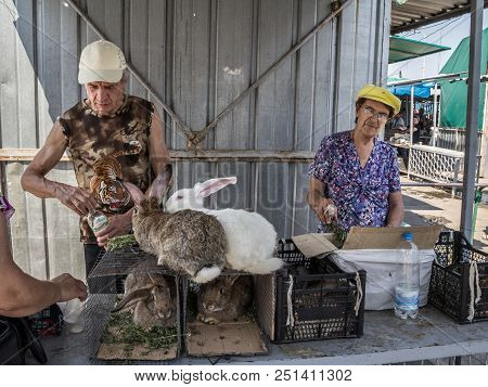 Dnipropetrovsk, Ukraine - August 15, 2018: Old People Selling Living Rabbits In Cages On Dniepropetr