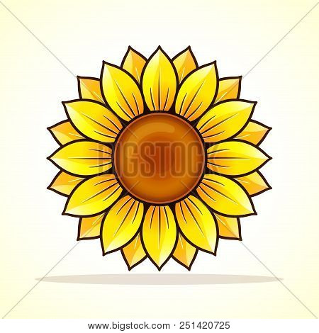 Vector Illustration Of Sunflower On White Background
