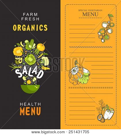 Vector Illustration Vertical Booklet Menu Salad For Cafe Special Vegetarian Food And Healthy Food Vi