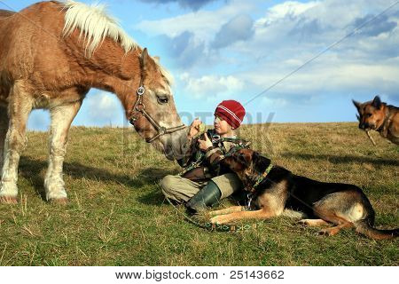 Junge, Pferde und Hunde