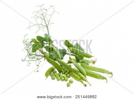 Fresh Shelled Green Peas, Plucked Pods And Pea Branches With Pods, Leaves And Tendrils On A White Ba