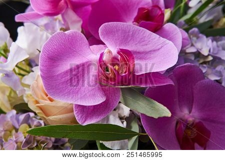 Bouquet Of Flowers Close Up. Beautiful Photo Collage For Floral Design And Card Celebration
