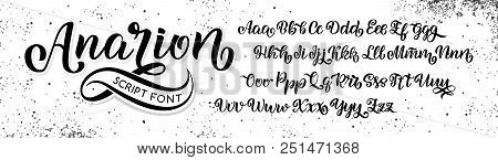 Vector Hand Drawn Typeface. Brush Painted Letters. Handwritten Script Alphabet Isolated On White Bac