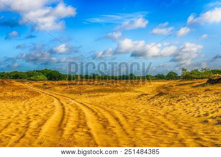 Image In Dramatized Colors Of A Desert-like Dutch Landscape With Yellow Drift Sand And Some Trees In