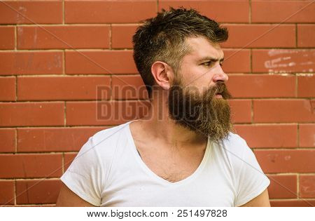 Stylish Bearded Hipster. Beard Grooming Has Never Been So Easy. Beard Care Tricks Will Keep Your Fac