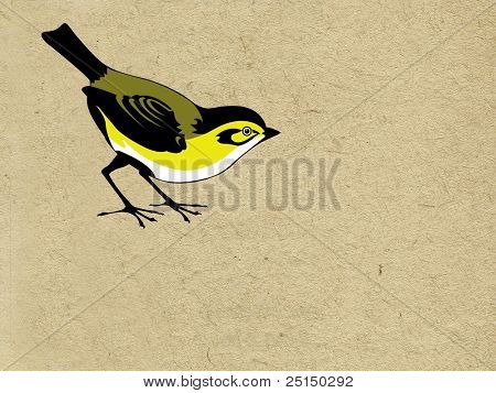 tomtit sul grunge background
