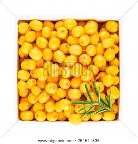 Branch Of Sea Buckthorn Berries With Leaves. Clipping Paths, Shadow Separated, Infinite Depth Of Fie