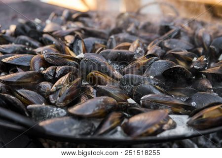 Fresh Mussels At Grill Pan. Seafood Barbecue Outdoors. Picnic Healthy Food, Mussels In Shells. Plent