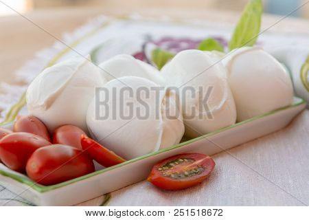 Fresh Soft Italian White Cheese Mozzarella Buffalo, Original From Campania, Paestrum And Foggia Regi