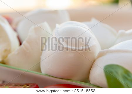 Fresh Soft Italian White Cheese Mozzarella Buffalo, Original From Campania, Paestrum And Foggia Regi