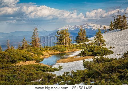 Autumn Carpathian Mountain White Tysa River Landscape With Multicolored Yellow-orange-red-brown Tree