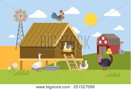 Domestic Birds On The Farm. Duck, Hen And Turkey On The Village. Summer Landscape. Vector Flat Illus