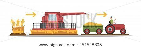 Wheat Manufacture Process. Bread Industry. Growing, Mowing, And Gathering Harvest. Isolated Vector F