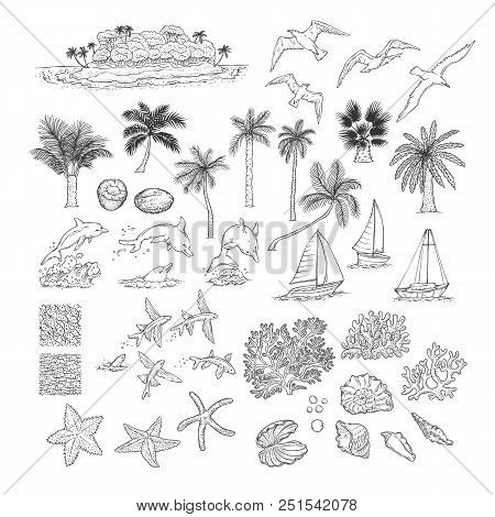 Summer Vector Set Tropical Plants And Water Animals. Island With Palm Among Ocean, Different Dolphin