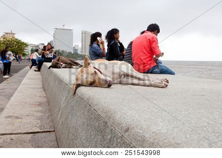 MUMBAI, INDIA - JULY 2 2018: Unidentified people visit promenade in South Mumbai. 
The promenade is an open space where people could meet friends and just spend time