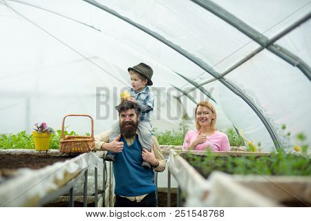 Glasshouse. Family Work In Glasshouse. Glasshouse Farming With Happy Family. Glasshouse Planting. Wo