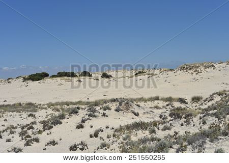 The Coto De Donana National Park In Andalusia, Spain