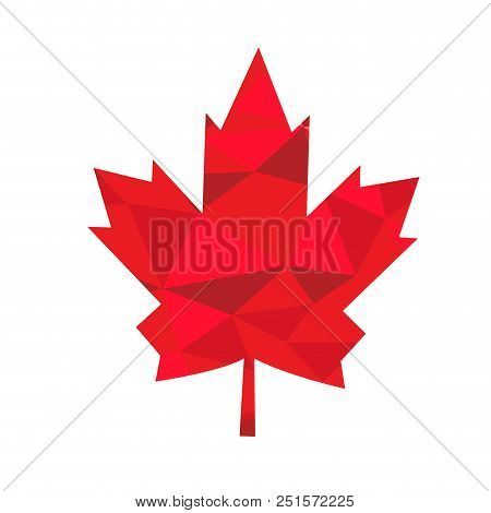Isolated Textured Maple Tree Leaf. Vector Illustration Design