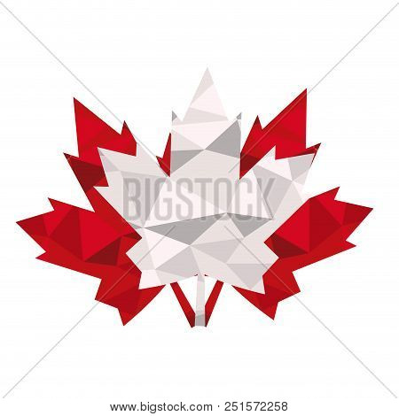 Isolated Textured Maple Tree Leaf. Vector Illustration Design